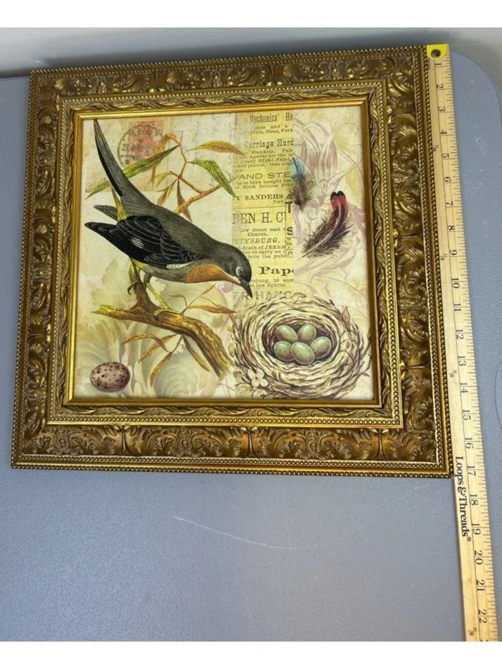 Vintage Framed Bird Nest Wall Art Ornate Gold Frame Cottage Farmhouse Decor